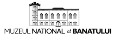 National Museum of Banat